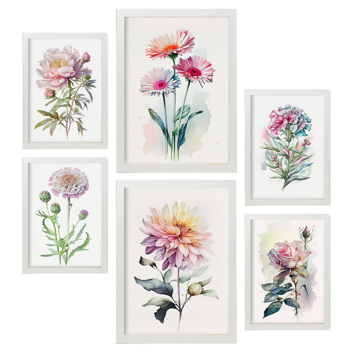 POSTER Set Mit 6 Rosen Größe A3 & A4 Weißer Rahmen - Weiß, Papier (29.7/1cm) - Nacnic