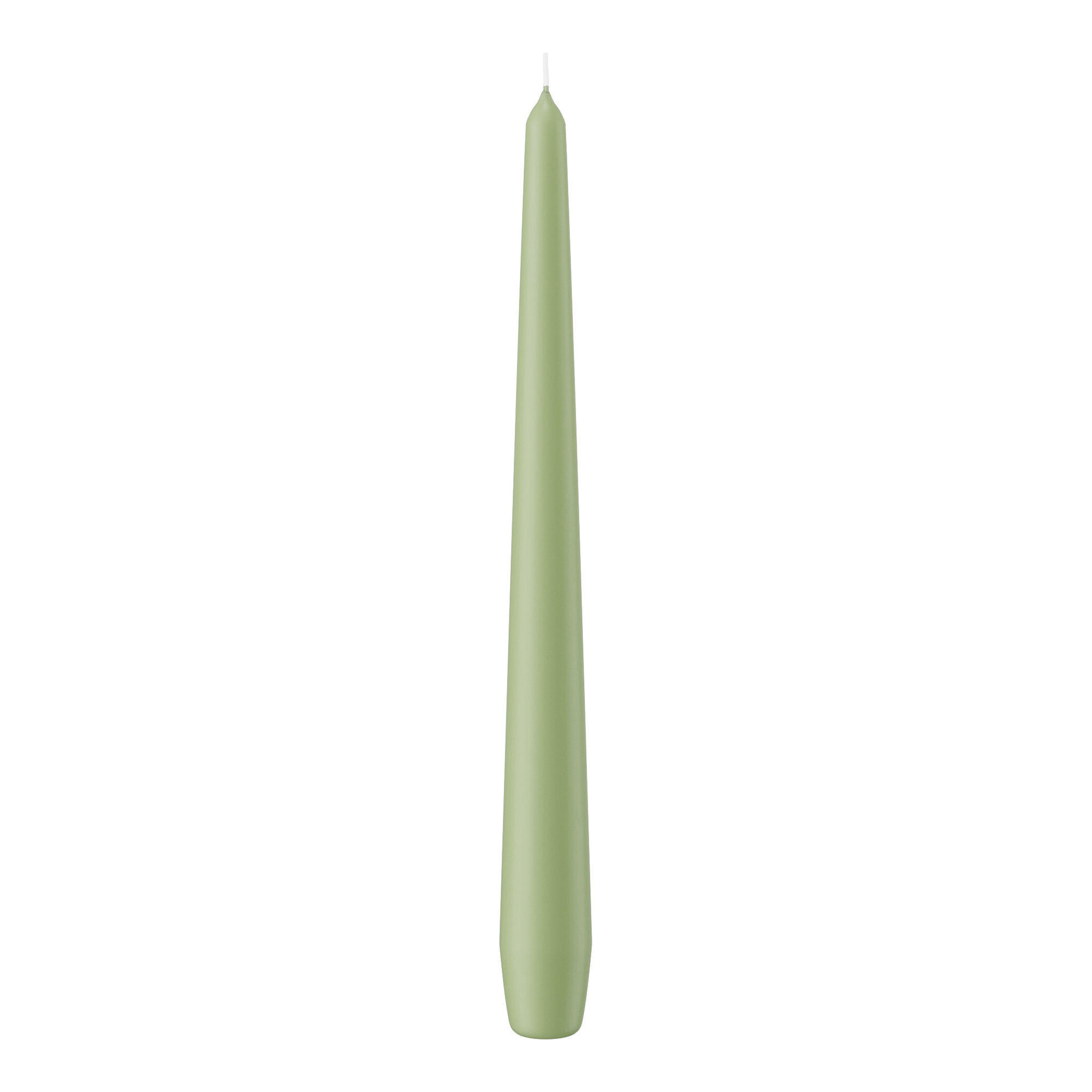 SPITZKERZEN Pastell Grün Aloe Vera 250 x Ø 25 mm, 12 Stück - Pastellgrün, Paraffin (2.5/25/25cm) - Wiedemann Kerzen