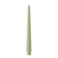 SPITZKERZEN Pastell Grün Aloe Vera 250 x Ø 25 mm, 12 Stück - Pastellgrün, Paraffin (2.5/25/25cm) - Wiedemann Kerzen