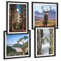 BILDER SET 4er Set - 50x50 cm & 40x60 cm Schwarzer Rahmen - Straße Wald Berge Hirsch Natur - Schwarz, Kunststoff (50/50cm) - TULUP