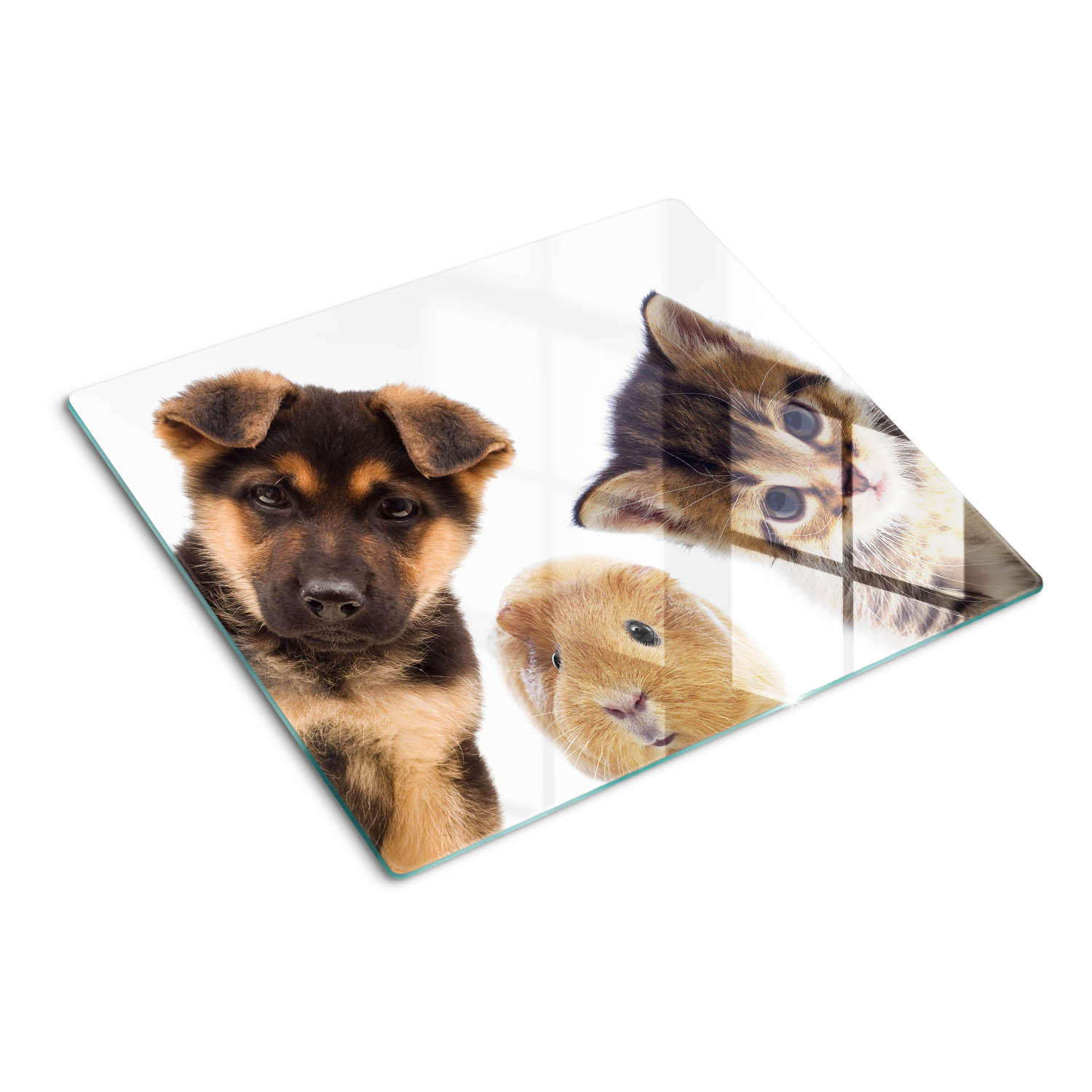 GLASPLATTE 60x52 cm Haustiere - Hellgrau/Grau, Glas (60/52cm) - TULUP