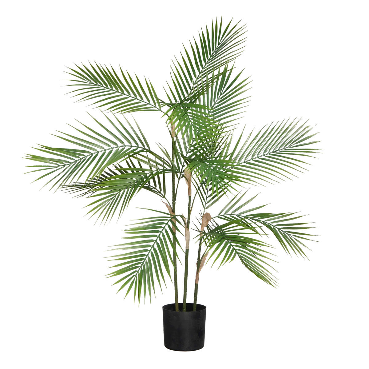 PALMEN Künstliche Bergpalme - Nolte 100 cm - Grün, Kunststoff (100cm) - aplanta