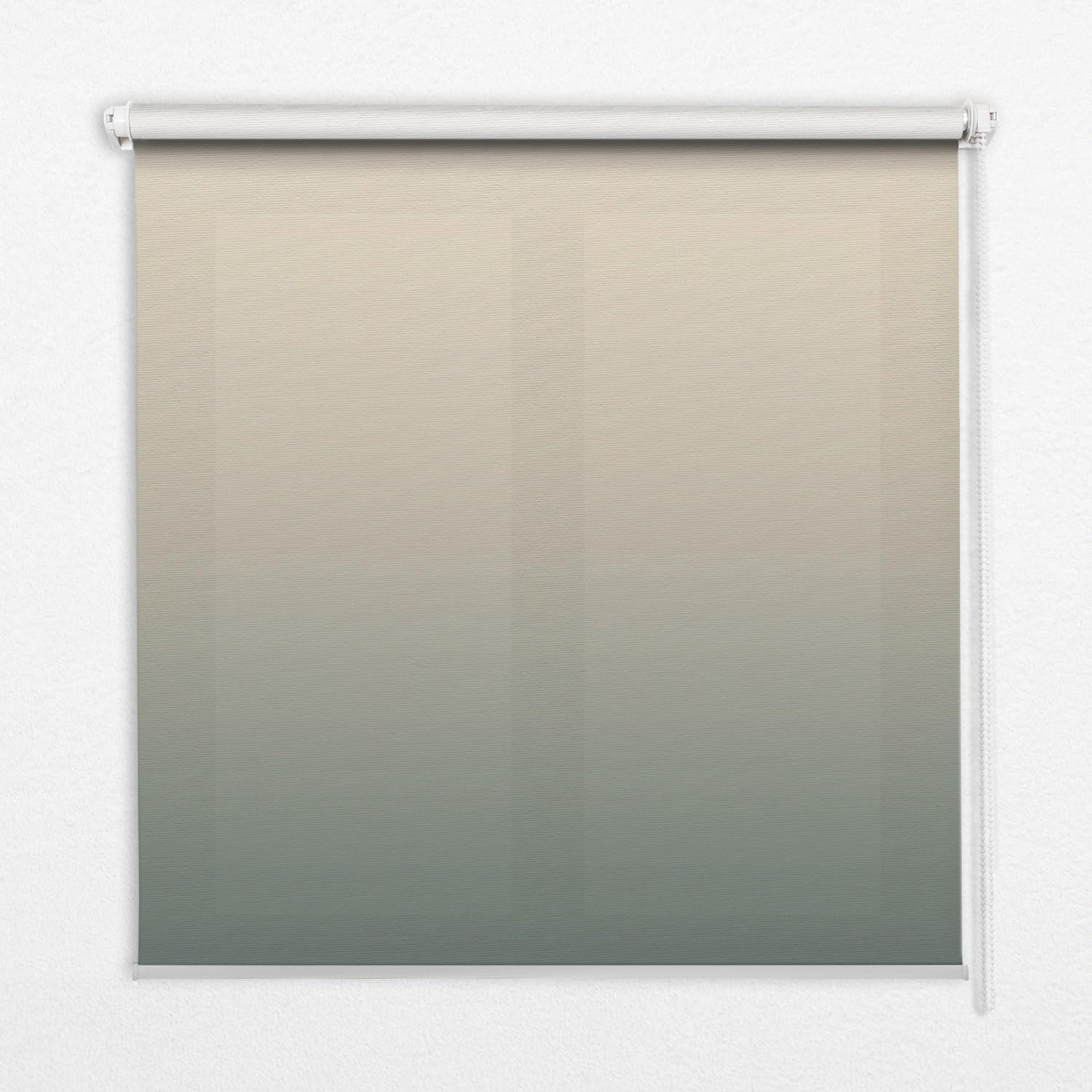 INNENROLLO - Fensterrollo - Rollo - 100x100 cm - Verblassen - Beige, Kunststoff (100/100/0.5cm) - TULUP