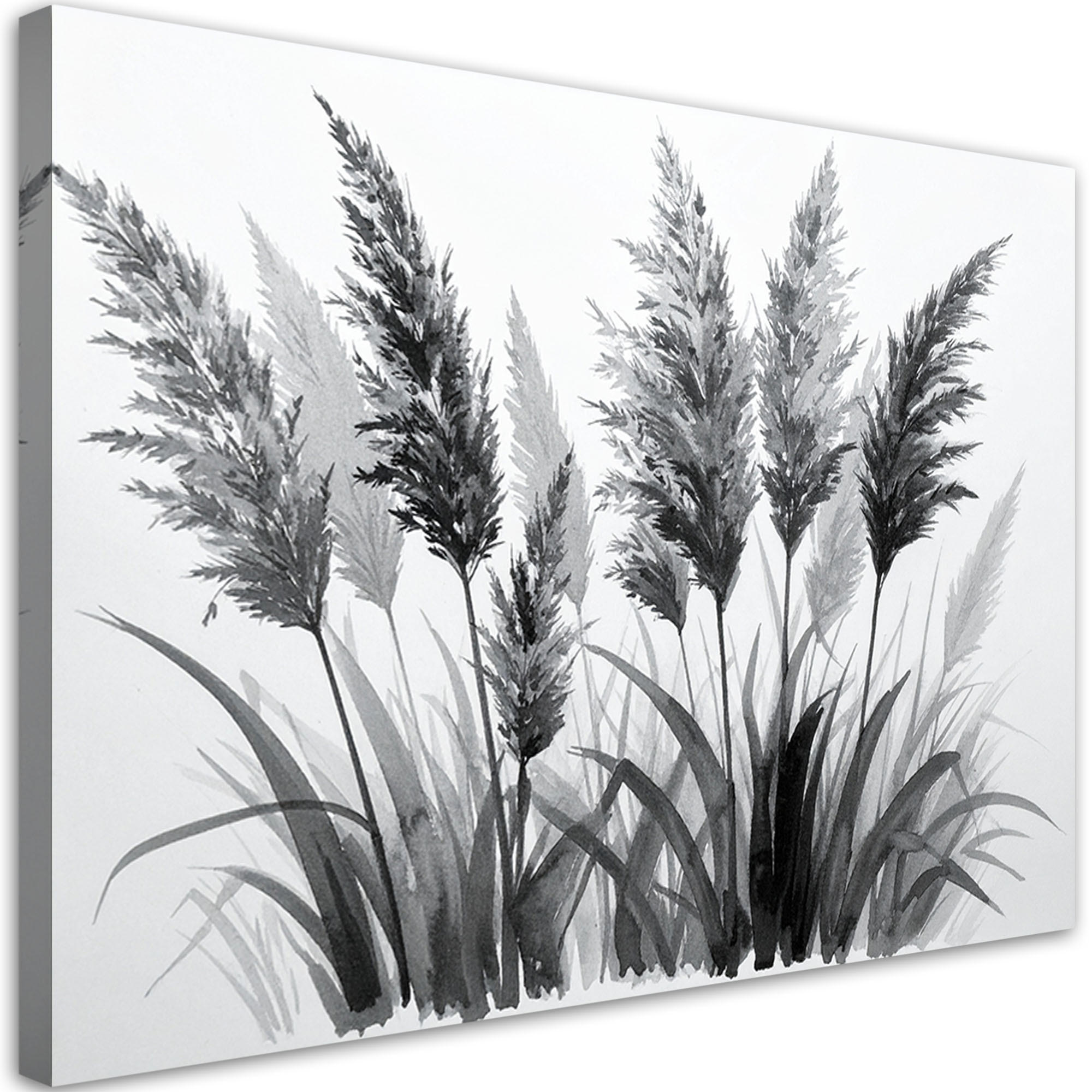 LEINWANDBILD Pampasgras 120x80cm - Schwarz, Textil (120/80cm) - Feeby