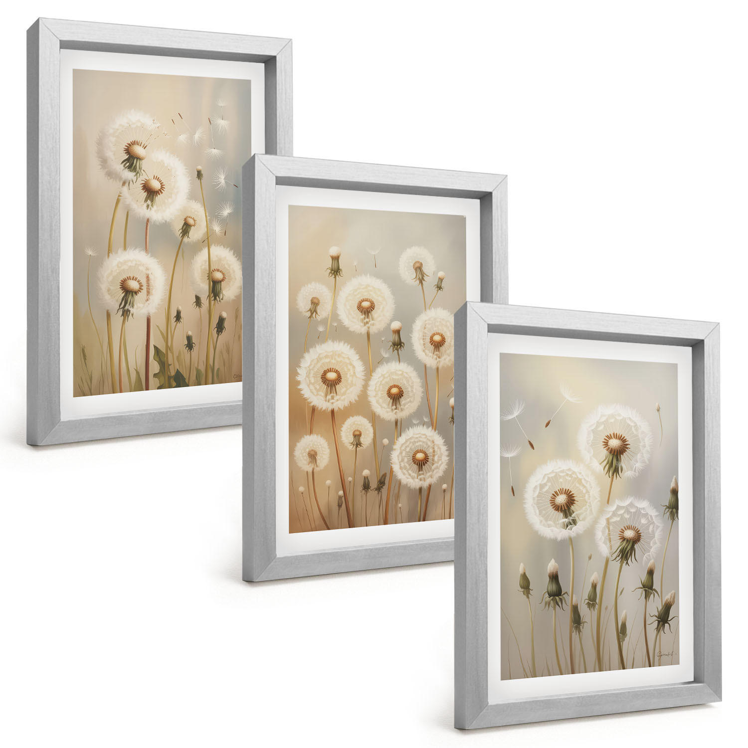 BILDER SET 3er Set - 20x30 cm Silberner Rahmen - Weiße Löwenzahnblüten auf hellem Hintergrund - Silberfarben, Kunststoff (20/30cm) - TULUP