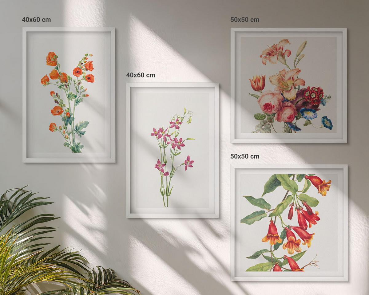 BILDER SET 4er Set - 50x50 cm & 40x60 cm Weißer Rahmen - Blumenmalerei im Retro-Stil - Weiß, Kunststoff (50/50cm) - TULUP
