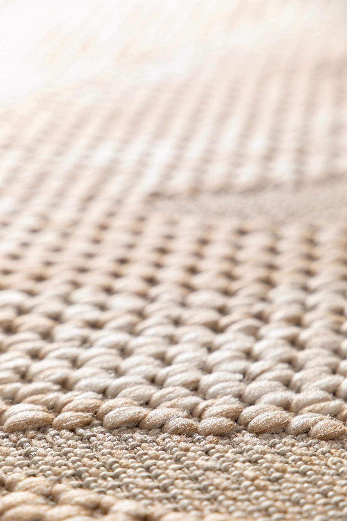 TEPPICH für Innen und Außen mit Skulptureffekt bruin - Braun, Textil (200/290cm) - AFK Living
