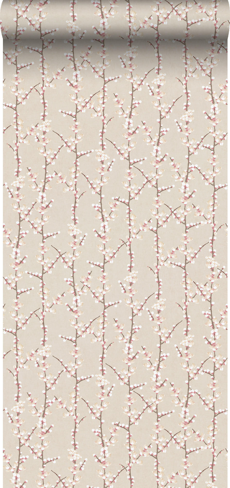 TAPETE Blüte 53 cm x 10 m - Beige, Papier (53/1000cm) - Sanders & Sanders