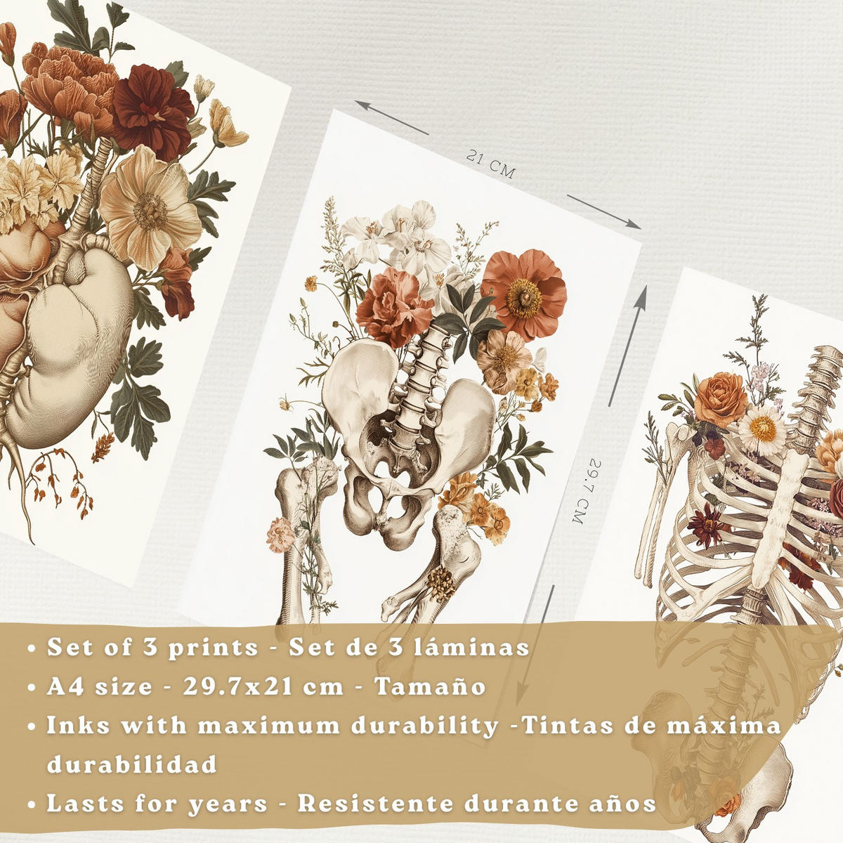 POSTER Set aus 3 Anatomie Mensch Florale Vintage Drucke und Wandbilder mit Herz Brustkorb und Becken Wanddekoration Größe Schwarzer Rahmen A4 - Schwarz, Papier (21/29.7/3cm) - Nacnic
