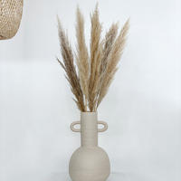 PAMPASGRAS beige natur | für Tischvase - beige / 60 cm / 1 Bund - Beige, Naturmaterialien (60cm) - Lykke & You