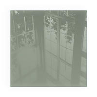 GLASPLATTE für Kamin 50x50 cm - Grün, Glas (50/50/0.4cm) - TULUP