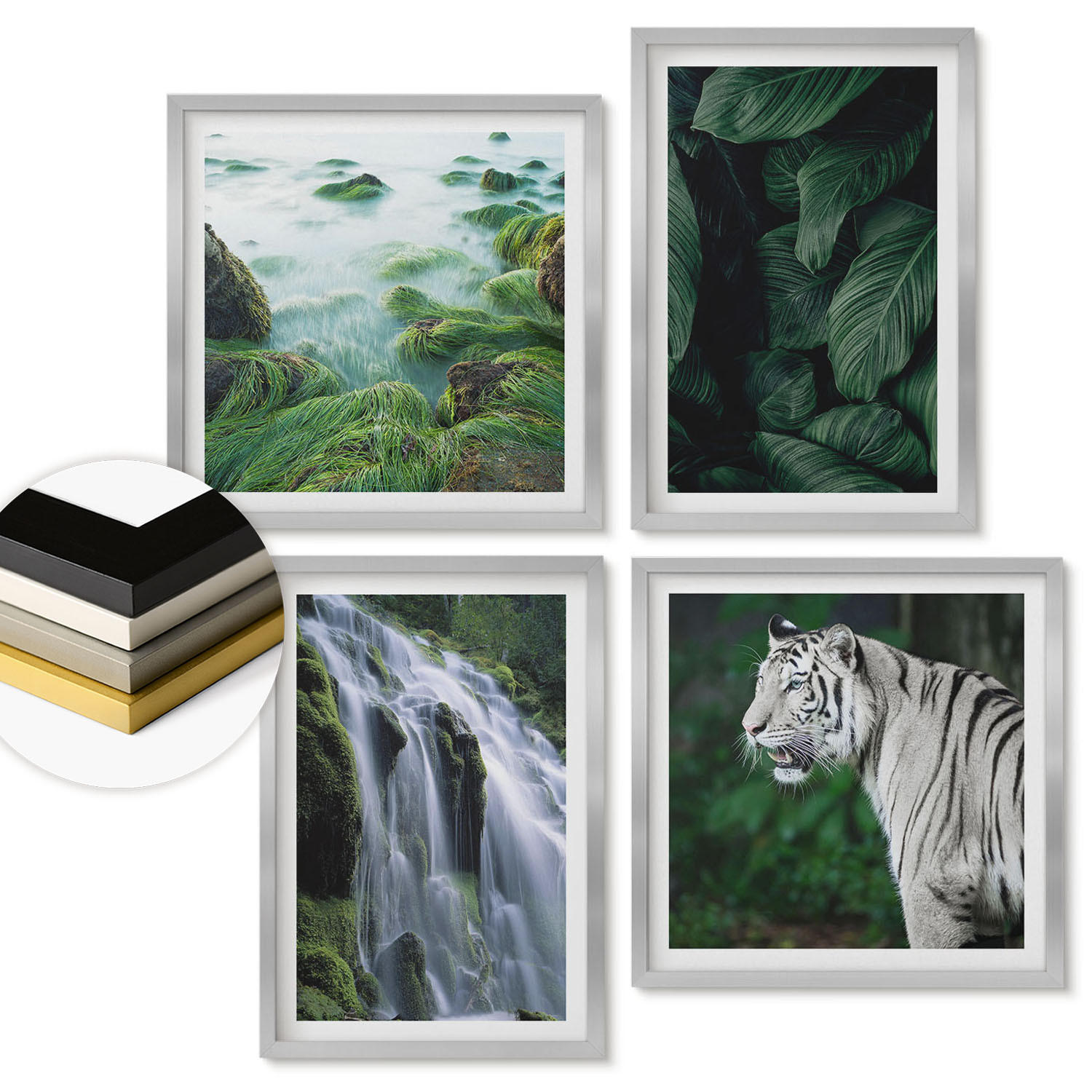 WANDBILDER 4er Set - 50x50 cm & 40x60 cm Silberner Rahmen - Blätter des Weißen Tigerwasserfalls - Silberfarben, Kunststoff (50/50cm) - ArtPrintCave