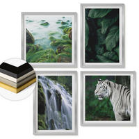 WANDBILDER 4er Set - 50x50 cm & 40x60 cm Silberner Rahmen - Blätter des Weißen Tigerwasserfalls - Silberfarben, Kunststoff (50/50cm) - ArtPrintCave