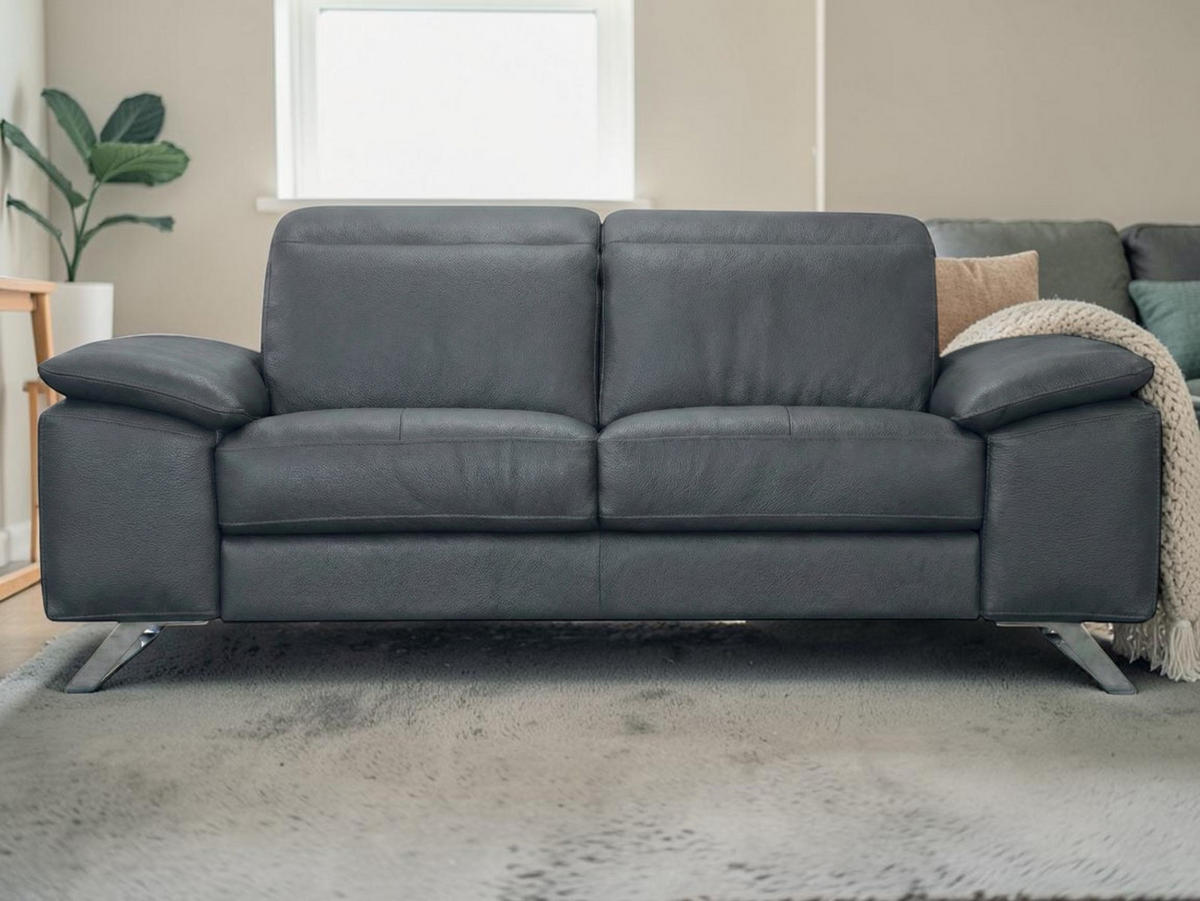 3-SITZER Sofa Genius Echtleder Anthrazit - Anthrazit, Leder/Metall (220/80/104cm)