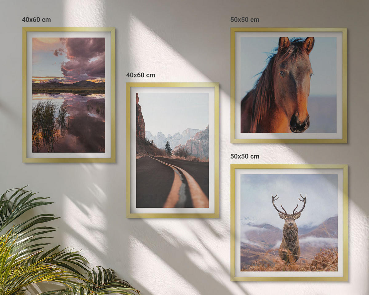 BILDER SET 4er Set - 50x50 cm & 40x60 cm Goldrahmen - Berglandschaften, Rentiere, Pferdestraße - Goldfarben, Kunststoff (50/50cm) - TULUP