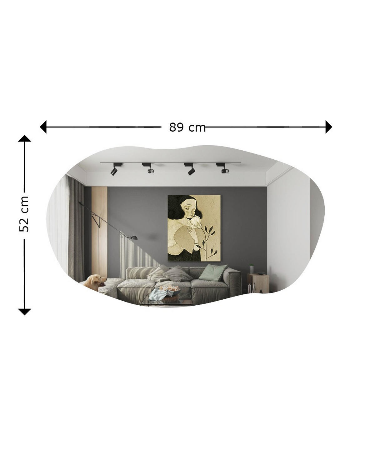 SPIEGEL Losa 52x89cm - Silberfarben, Holzwerkstoff (52/89/3.5cm) - moebel17