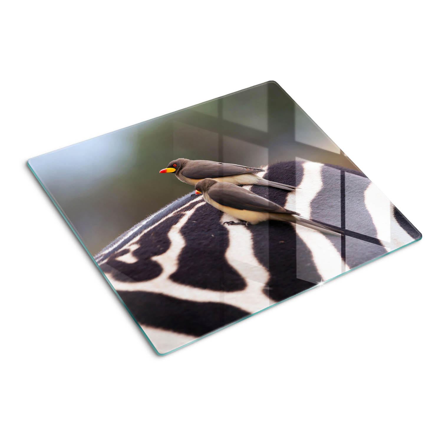 GLASPLATTE 60x52 cm Vögel und Zebras - Grau, Glas (60/0.4/52cm) - TULUP