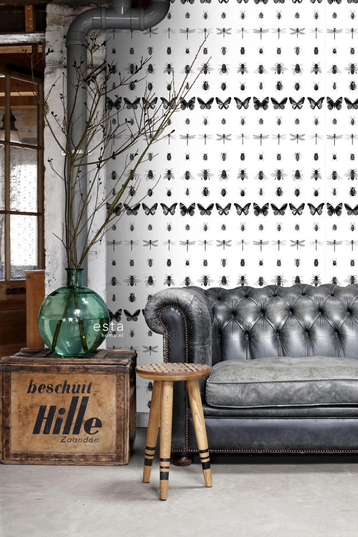 XXL-VLIESTAPETE Zeichnungen von Insekten 50 x 900 cm - Schwarz, Papier (50/900cm) - ESTAhome