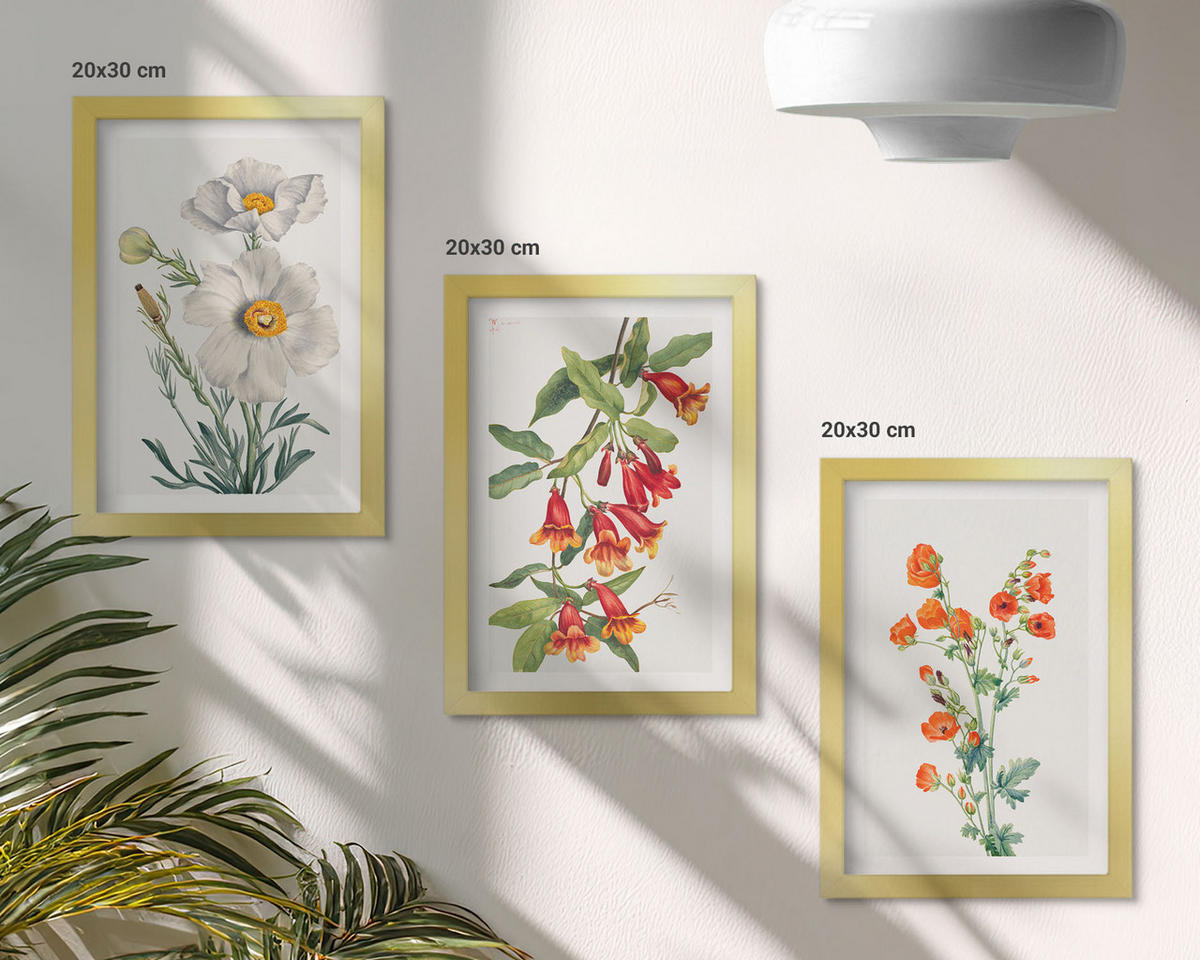 BILDER SET 3er Set - 20x30 cm Goldrahmen - Retro-Blumenarrangements - Goldfarben, Kunststoff (20/30cm) - TULUP