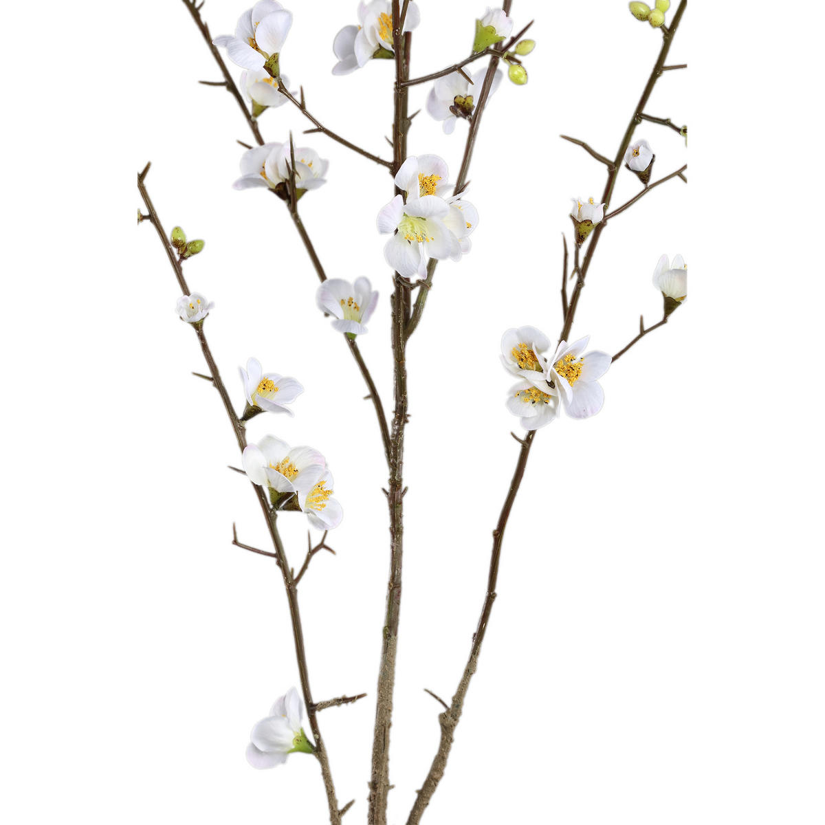 KUNSTBLUME Blossom Weiß 66/54/121cm - Weiß, Textil (121cm) - PTMD Collection