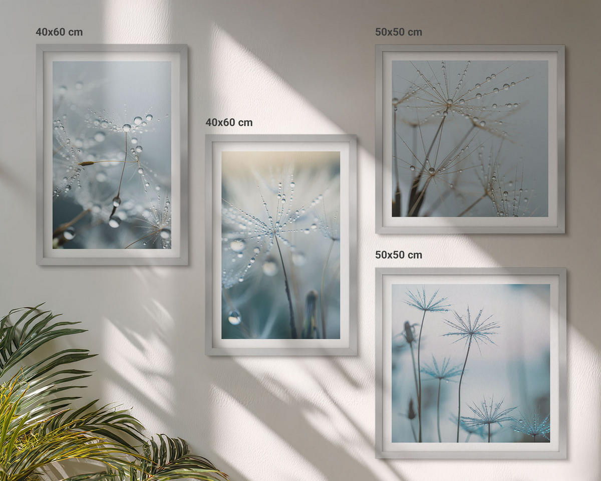 BILDER SET 4er Set - 50x50 cm & 40x60 cm Silberner Rahmen - Tautropfen auf Löwenzahn - Silberfarben, Kunststoff (50/50cm) - TULUP