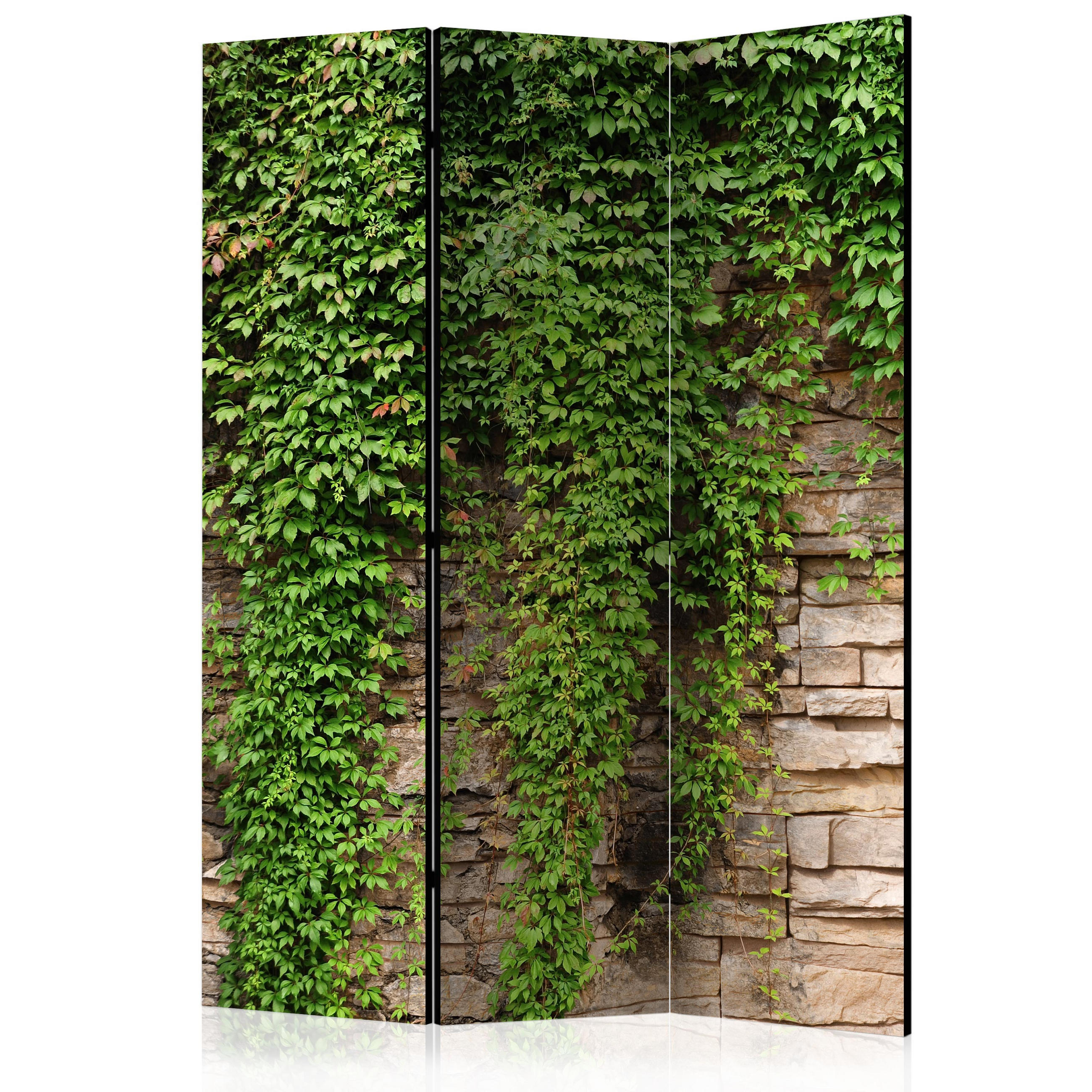 PARAVENT Einseitig Bedruckter 3-tlg 135x172 cm Mauer Mit Bl ttern - Grün, Holz/Textil (135/172/3cm) - Muralo