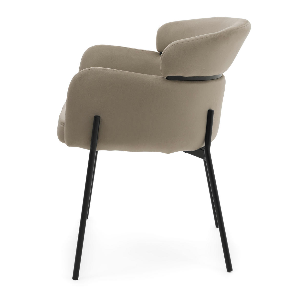 STUHL BOLZANO gepolsterter mit Steppung - dunkelbeige - Samt Velour - Beige/Schwarz, Textil/Metall (62/80/61cm) - NEW HOME