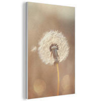 AKUSTIKBILD Löwenzahn - Beige - Natur - Blume Wanddeko 60x90 cm - Hellbraun, Kunststoff (60/90/0.9cm) - MuchoWow