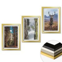 WANDBILDER 3er Set - 20x30 cm Goldrahmen - Straße Wald Berge Hirsch Natur - Goldfarben, Kunststoff (20/30cm) - ArtPrintCave