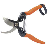 ROSENSCHEREN Set - Rosenkavalier und Rosenwunderschere - Orange, Metall (12.4/3.1/14.9cm) - Westfalia