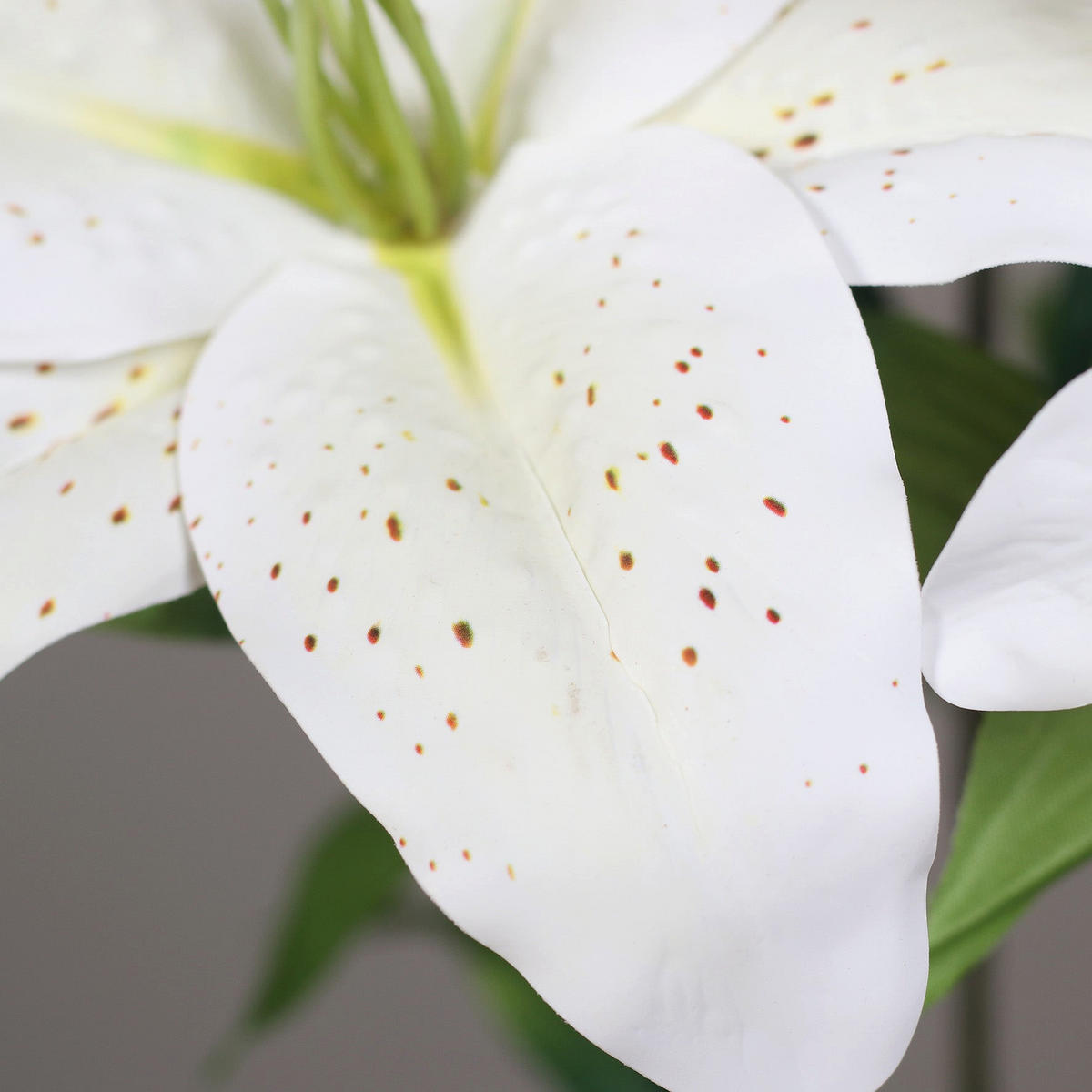 LILIE Künstlicher Lilienbusch - Moni 55 cm - Weiß, Kunststoff (55cm) - aplanta