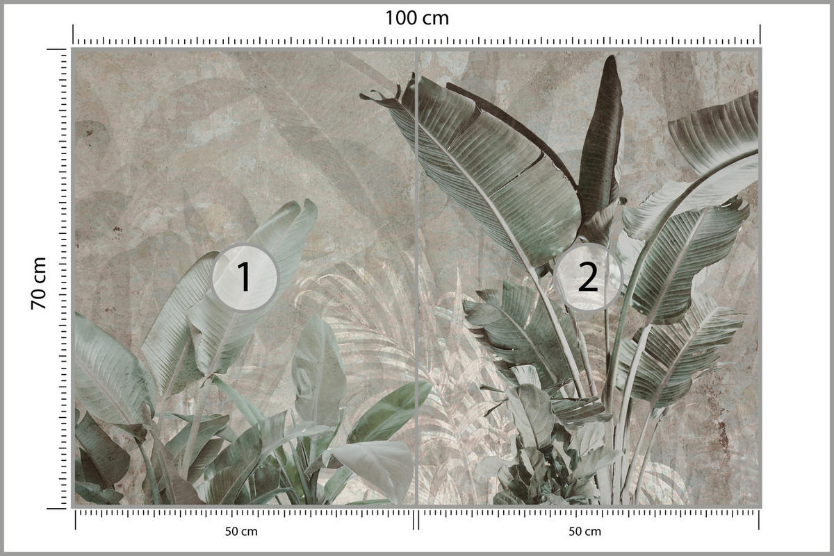 FOTOTAPETE für Büro Beton Bananenblätter Abstrakt Pflanzen Vintage 100x70 - Beige/Braun, Papier (100/70cm) - Muralo