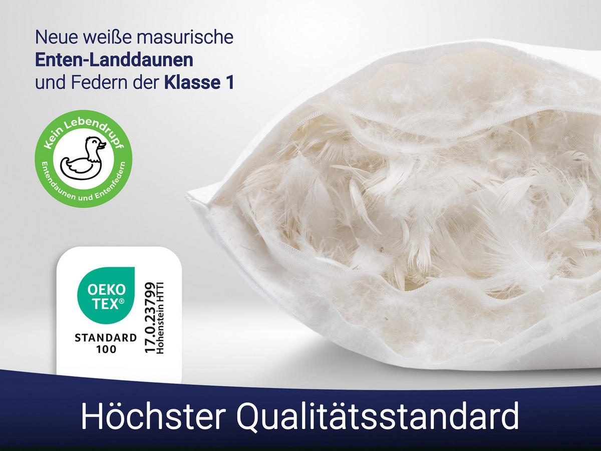 KISSEN, 70x90 cm, 100% Baumwolle, Weiß - Weiß, Textil (70/90cm) - Zollner