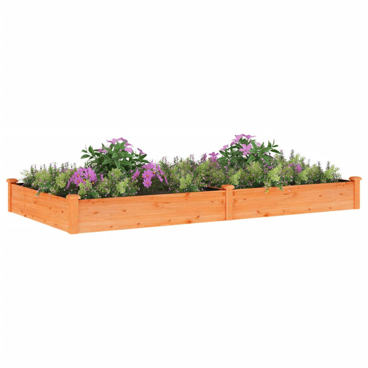 HOCHBEET mit Einsatz Braun 240x120x25 cm Massivholz Tanne - Braun, Holz (120/25/240cm) - furnicato