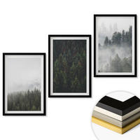 WANDBILDER 3er-Set - 40x60 cm Schwarzer Rahmen - Grüne Wälder Nebel Natur - Schwarz, Kunststoff (40/60cm) - ArtPrintCave