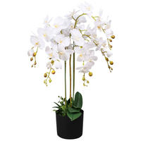 KÜNSTLICHE Orchidee mit Topf 75 cm Weiß - Weiß, Kunststoff (75cm) - furnicato