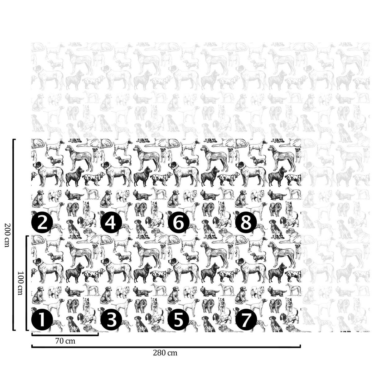 TAPETE Hunde aus echtem Papier, 200x280cm, 8 Bögen - Weiß, Papier (200/280cm) - WALLPAPERS4BEGINNERS