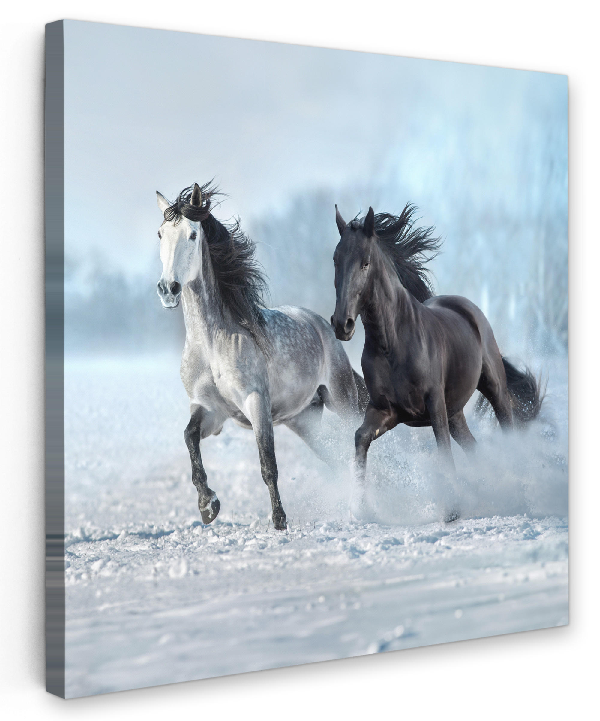 LEINWANDBILD Pferde - Winter - Tiere - Natur - Schnee 20x20 cm - Anthrazit, Textil (20/20cm) - MuchoWow