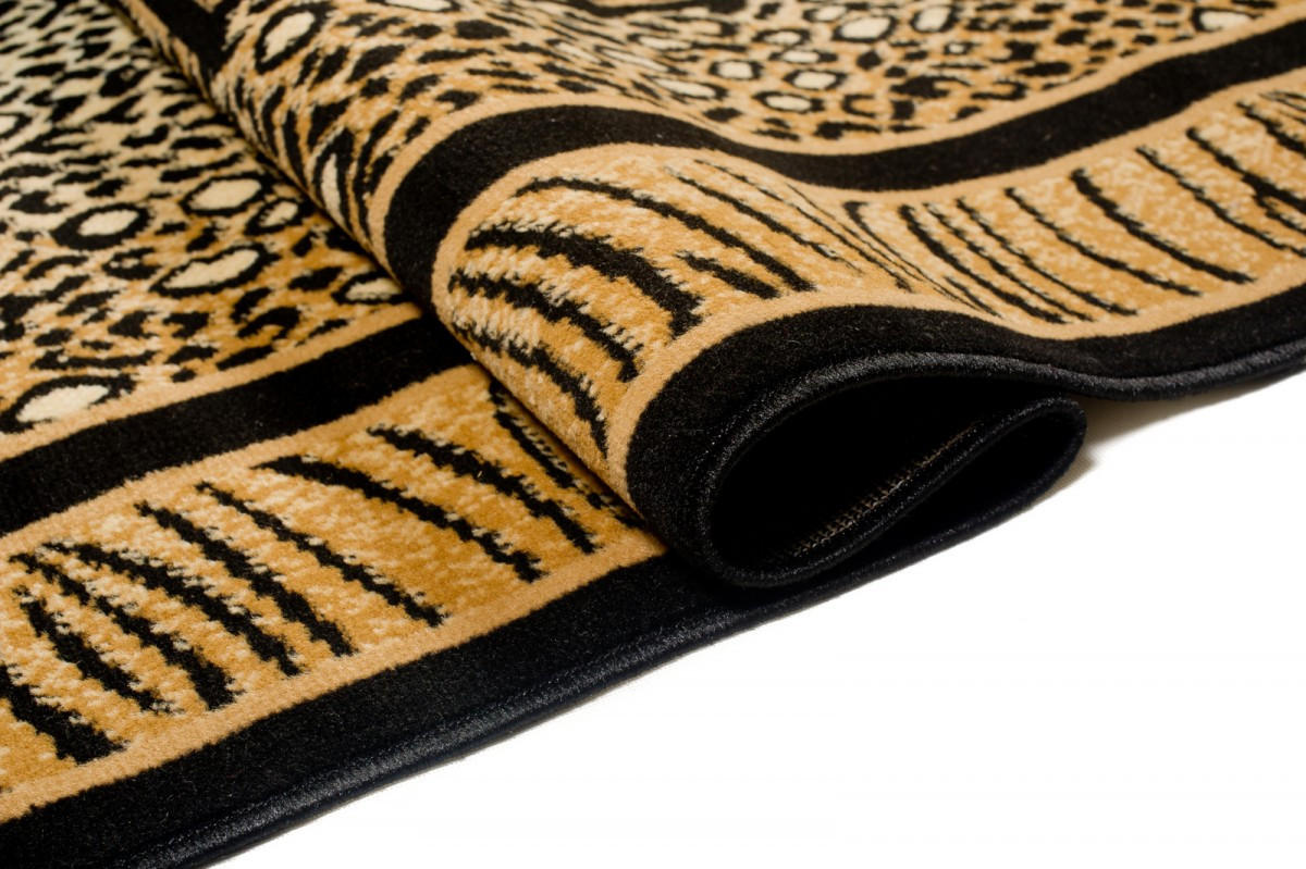 TEPPICH ATLAS Braun 250/300 cm - Braun, Textil (250/300cm) - Tapiso