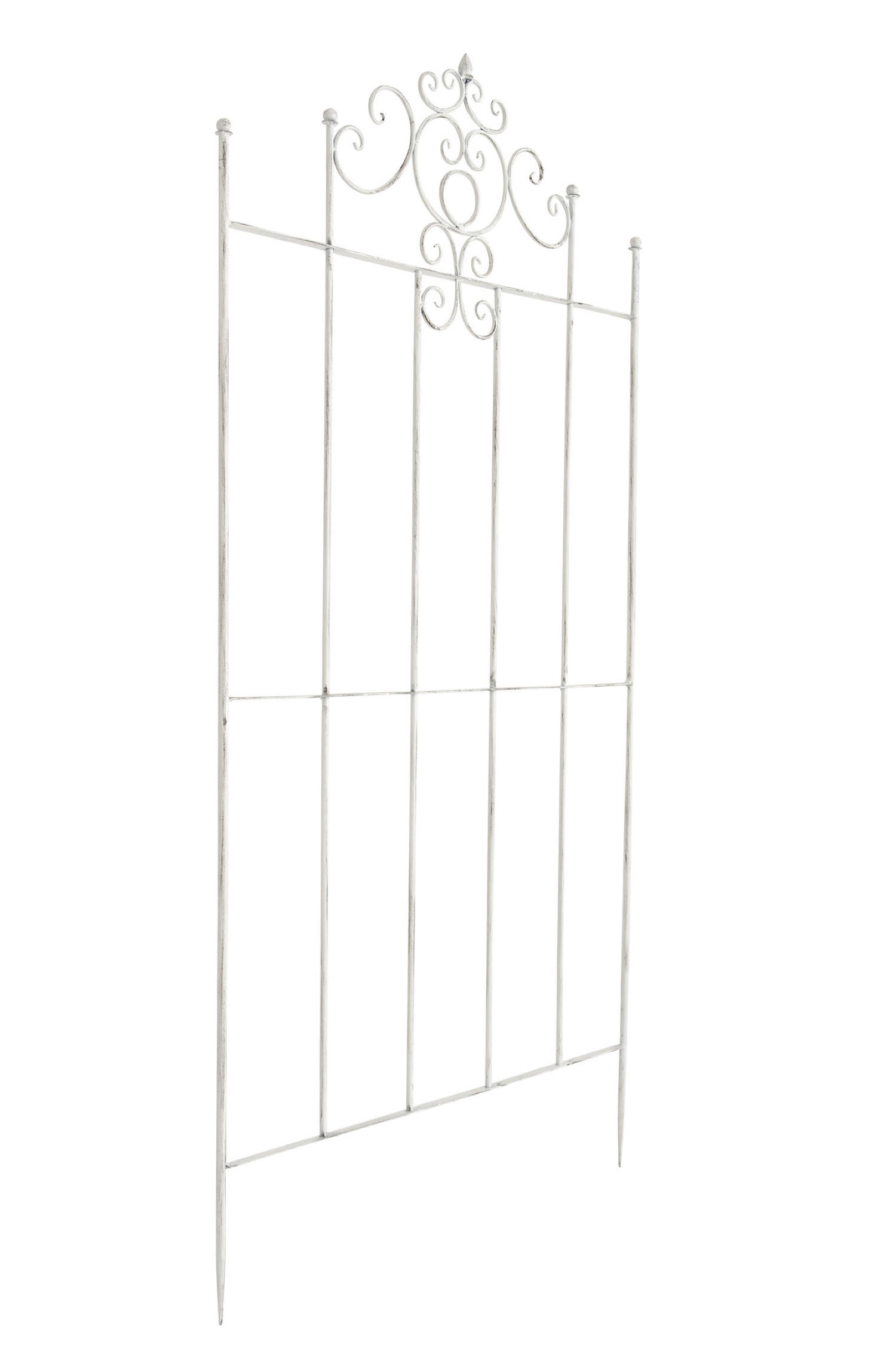 RANKGITTER Paul antik weiß - Weiß, Metall (85.5/170/2cm) - TPFGarden