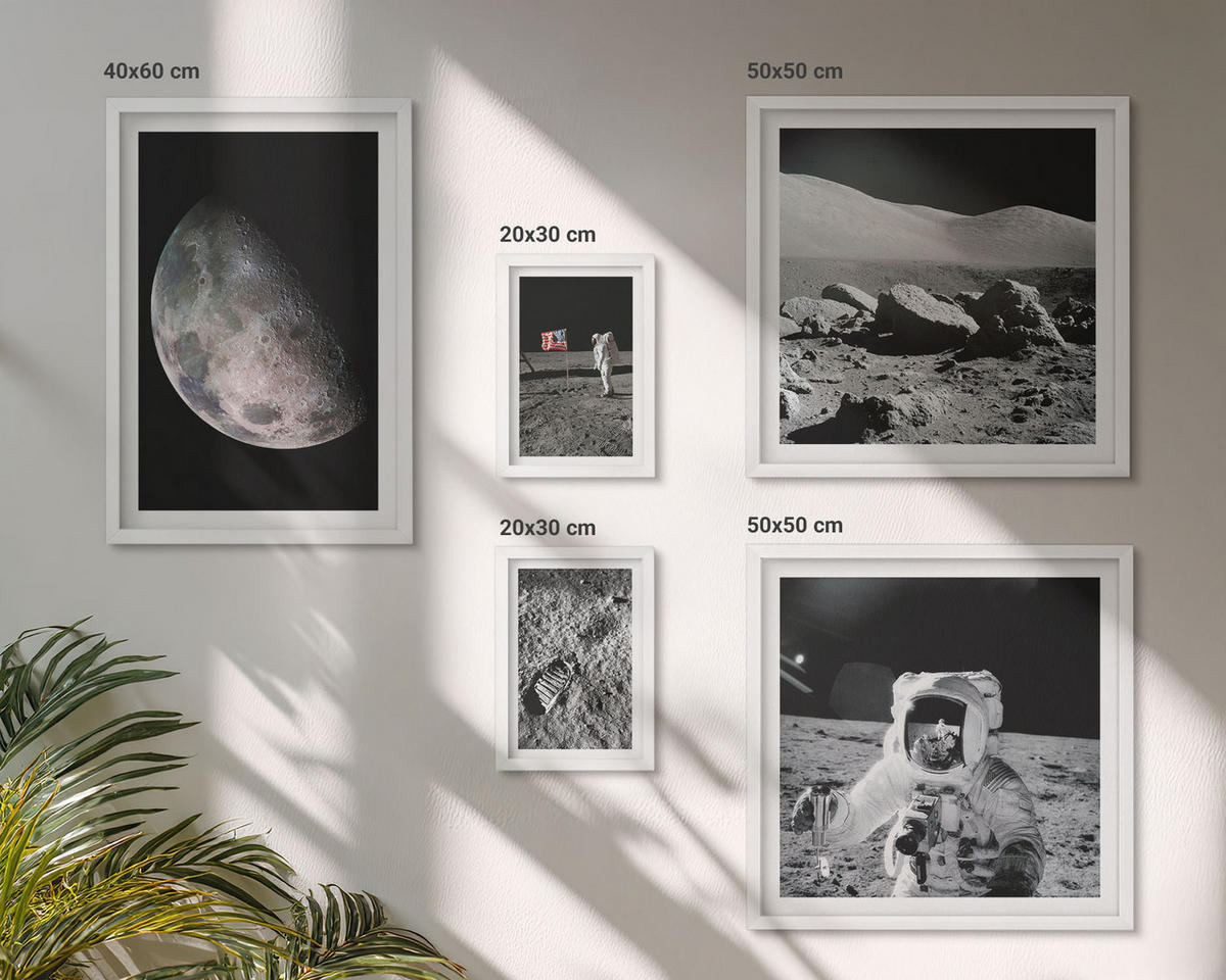 WANDBILDER 5er-Set - 50x50 cm & 20x30 cm & 40x60 cm Weißer Rahmen - Gemälde von Zitronenbäumen - Weiß, Kunststoff (40/60cm) - ArtPrintCave