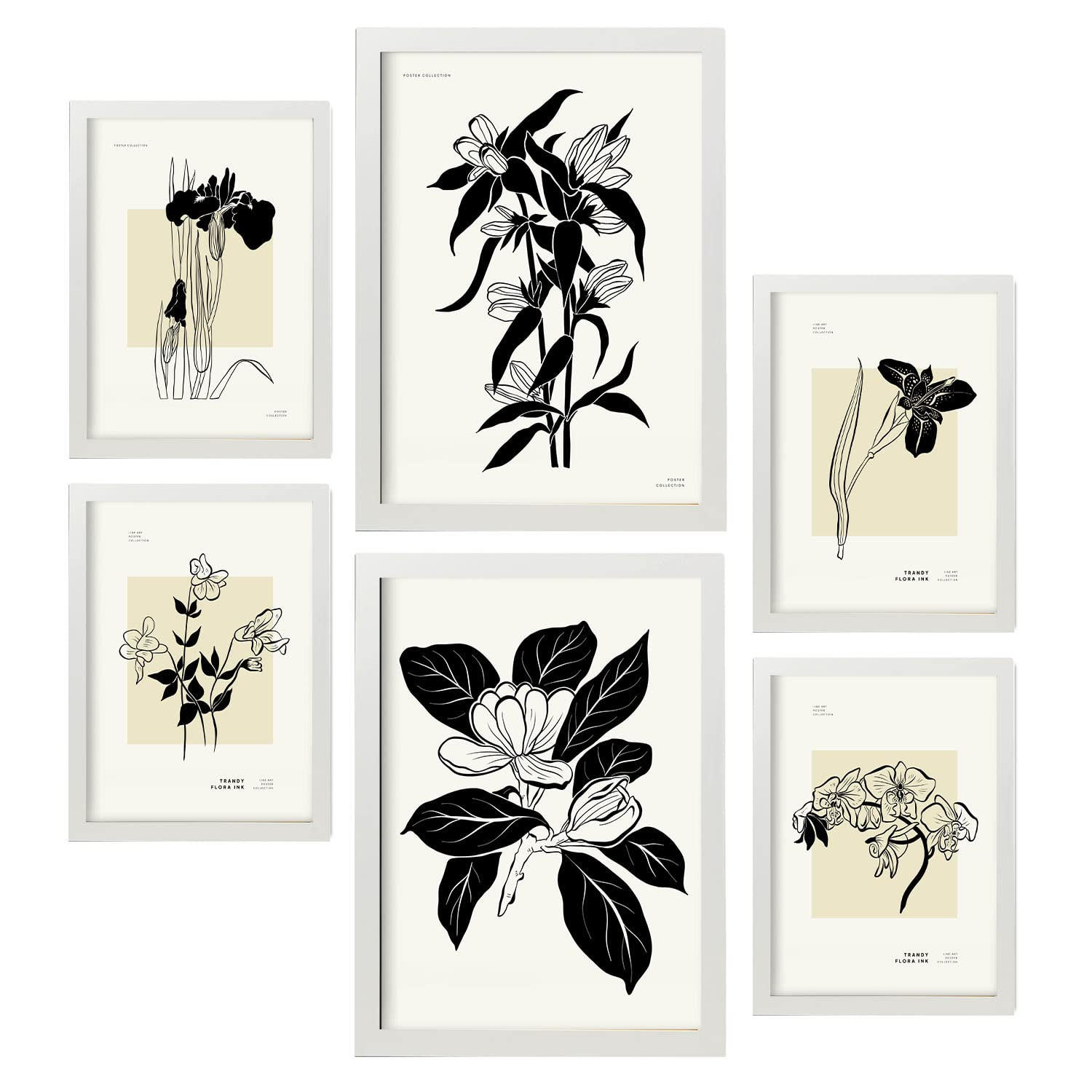 POSTER Set Mit 6 In Schwarzer Tinte Orchideen A3 & A4 Weißer Rahmen - Weiß, Papier (29/3cm) - Nacnic