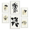 POSTER Set Mit 6 In Schwarzer Tinte Orchideen A3 & A4 Weißer Rahmen - Weiß, Papier (29/3cm) - Nacnic