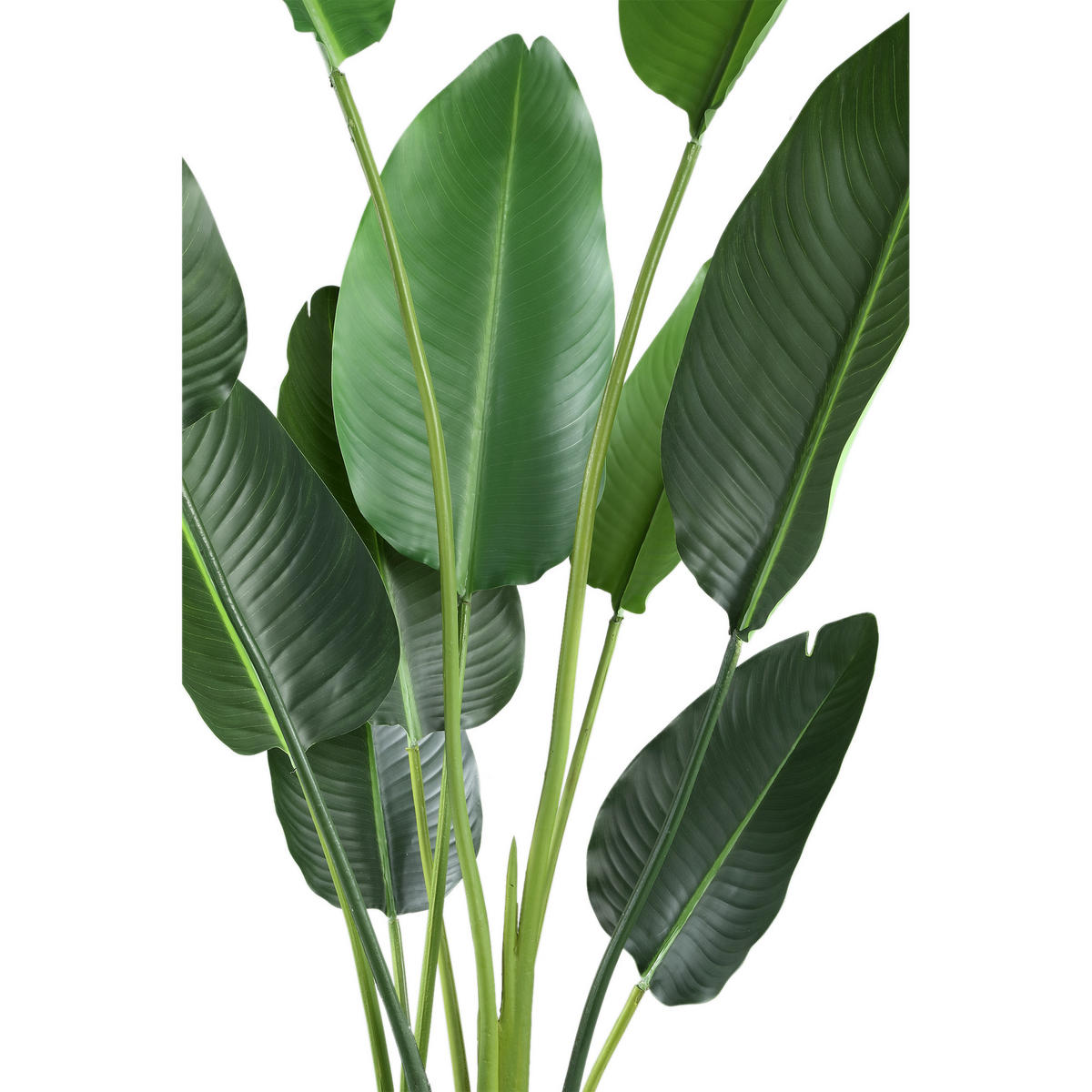 KUNSTPFLANZE Leaves Grün 85/73/150cm - Grün, Kunststoff/Stein (150cm) - PTMD Collection