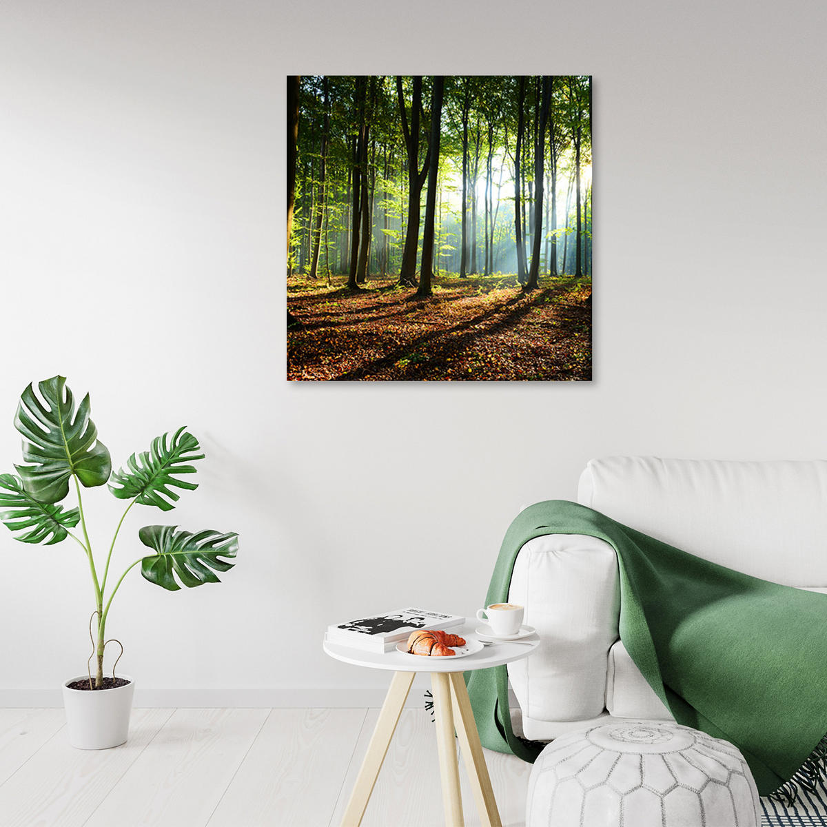 WANDBILD morgen im grünen wald - Grün, Textil (50/50cm) - Feeby