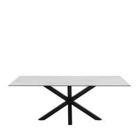 ESSTISCH - 8-Personen-Esstisch aus Keramik und Metall - Weiß - Weiß, Keramik (100/200/76cm) - Drawer