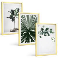 BILDER SET 3er Set - 40x60 cm Goldrahmen - Minimalismus mit grünen Pflanzen - Goldfarben, Kunststoff (40/60cm) - TULUP