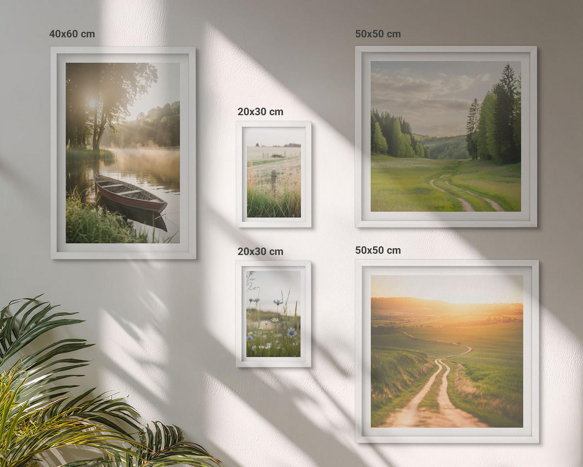 WANDBILDER 5er-Set - 50x50 cm & 20x30 cm & 40x60 cm Weißer Rahmen - Landschaftswiesenstraße West - Weiß, Kunststoff (40/60cm) - ArtPrintCave