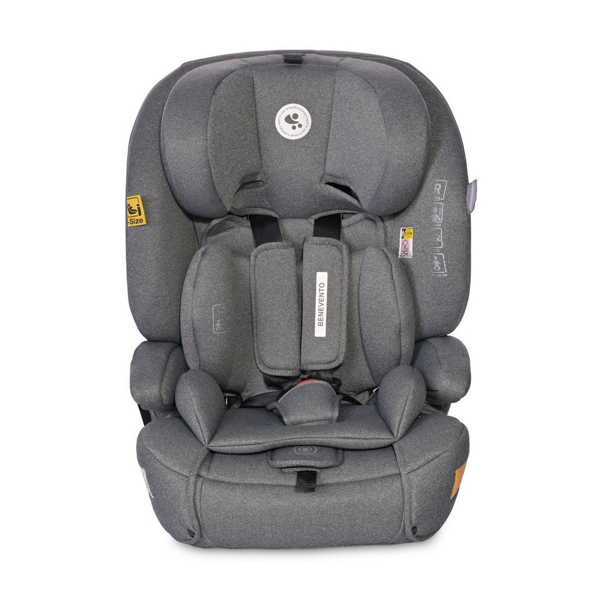 KINDERSITZ i-Size Benevento grau (76-150 cm) Isofix, Kopfstütze verstellbar - Grau, Kunststoff (46/57/58cm) - Lorelli