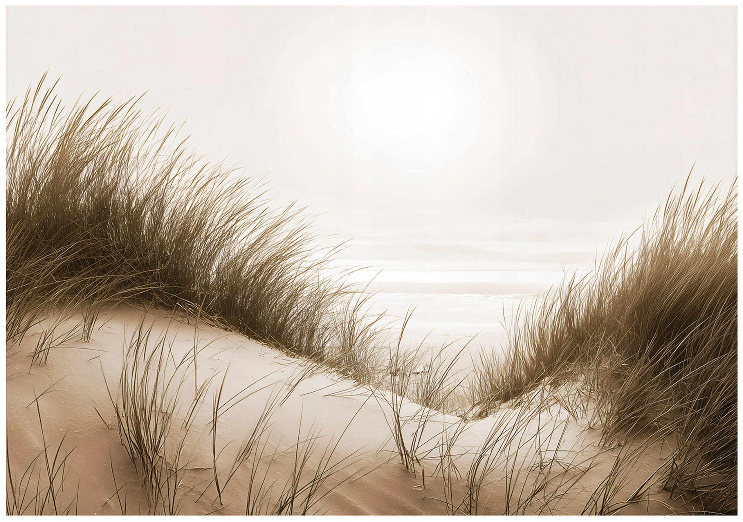 FOTOTAPETE Strand Meer Beige 250x175 cm - Multicolor, Papier (250/175cm) - Wallarena